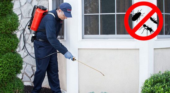 Düzce Haşere İlaçlama böcek ilaçlama ve haşere kontrolü — ilaclama-tr.com